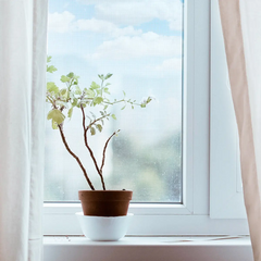 Антимоскітна сітка на вікно MVM (0,9 х 1,5 м) (на клейкій основі) (біла)