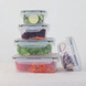 Набір харчових контейнерів пластикових TAVIALO з фіксаторами (6 шт)